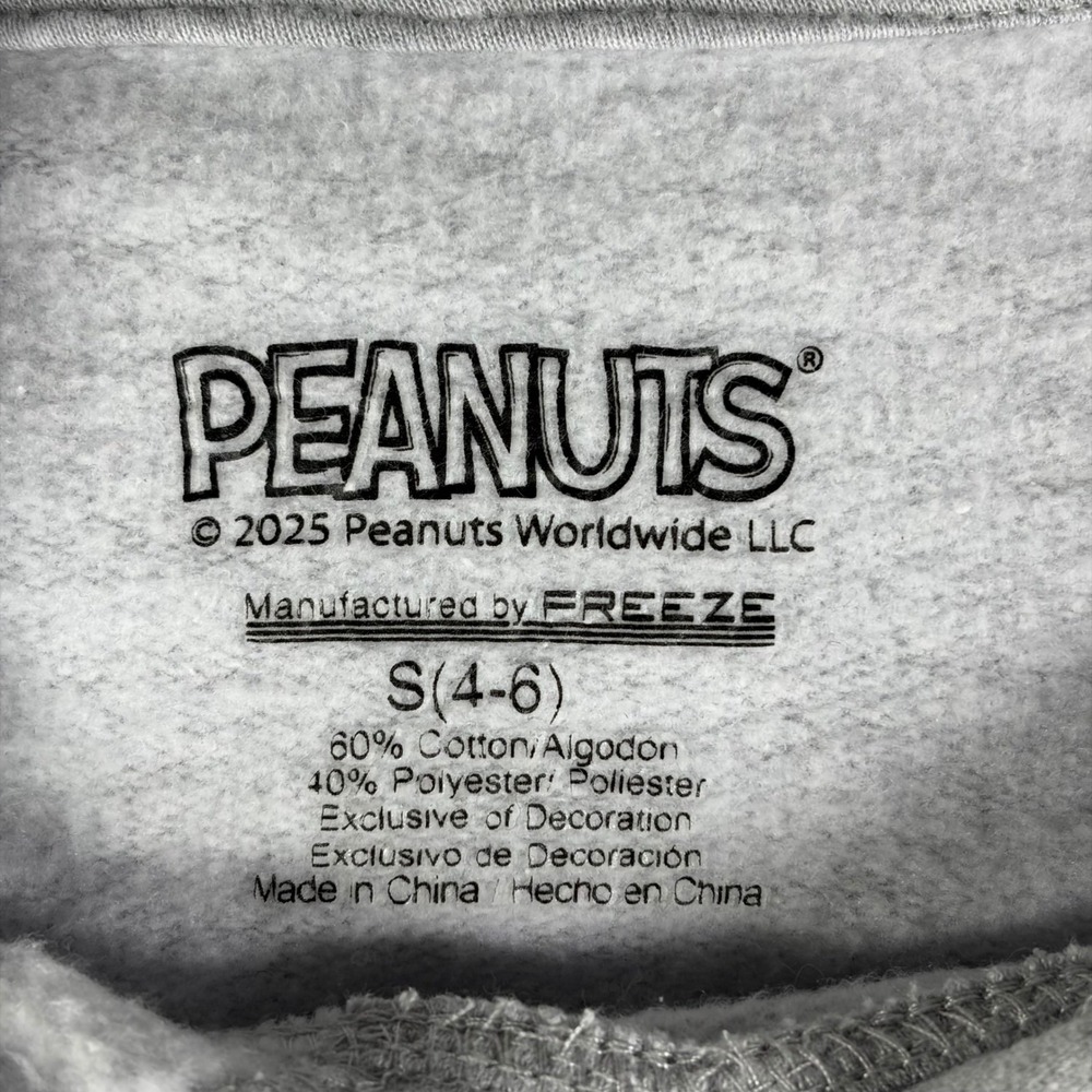 Peanuts Snoopy Woodstock Heather Gray Graphic Hoodie Freeze Size Small - Picture 3 of 11